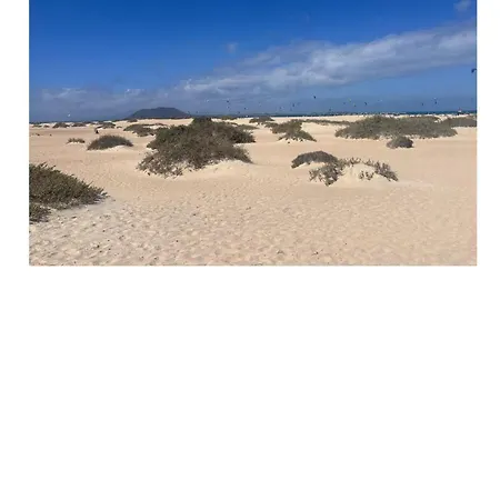 Natural Amanecer Zen *