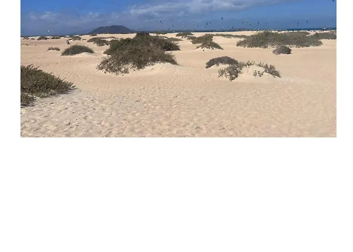 Natural Amanecer Zen *