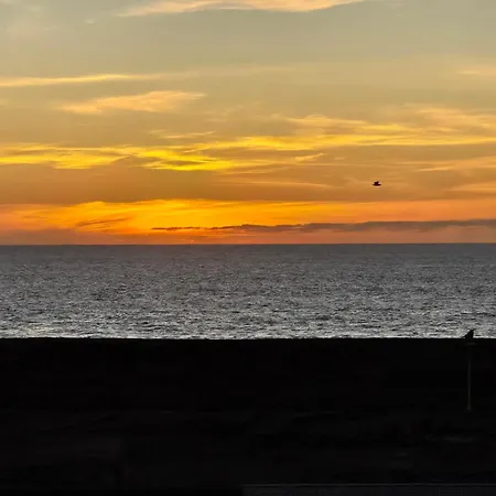 Natural Amanecer Zen