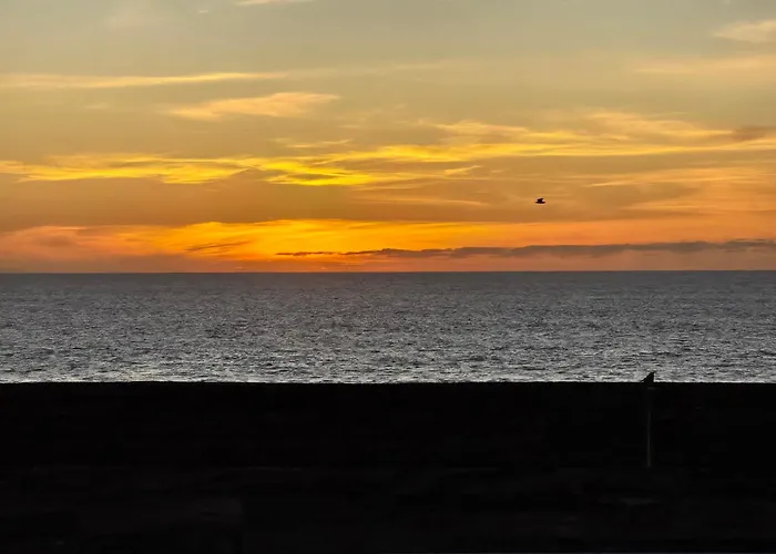 Natural Amanecer Zen