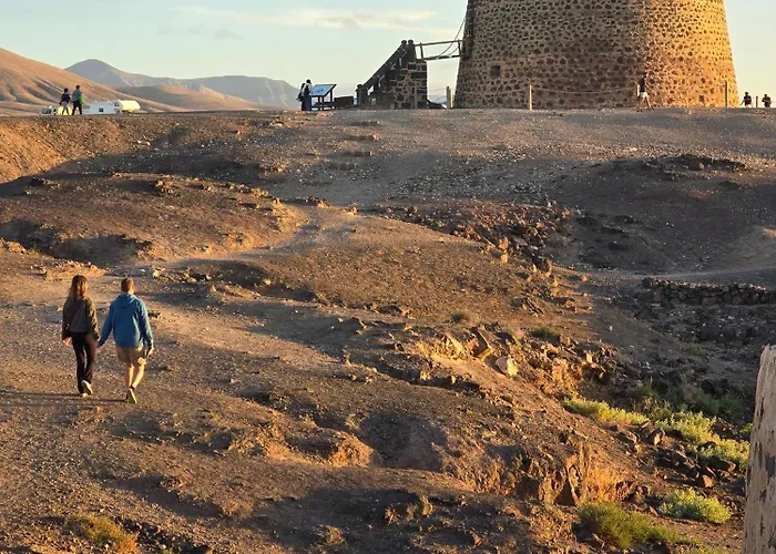 Natural Amanecer Zen コラレホ